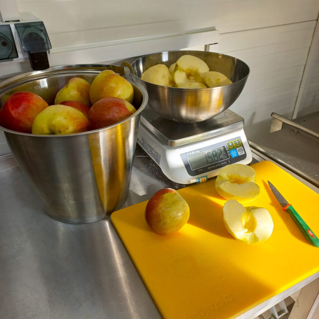 roskyspoon rocky spoon handmade lithuania lietuva rankų darbas chutney mango caramelised onions freezedried snacks bona sforca