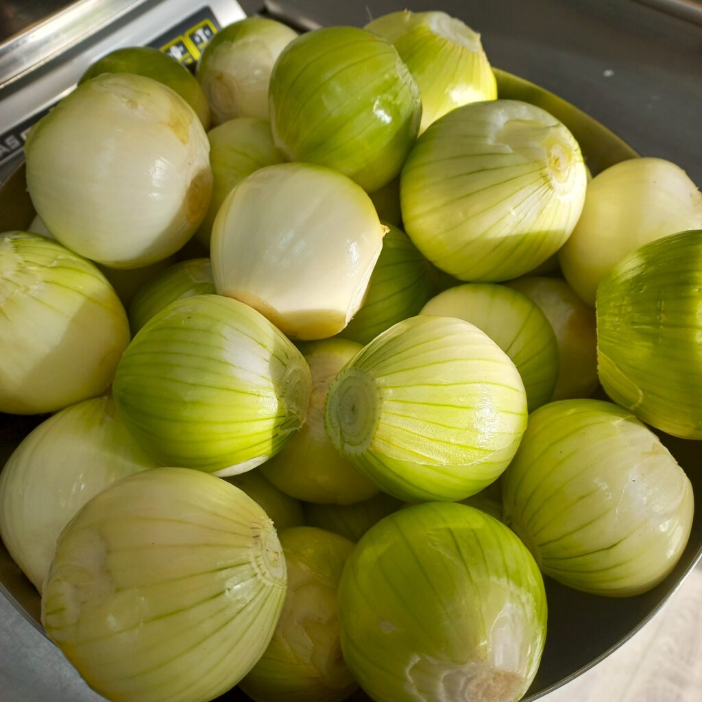 roskyspoon rocky spoon handmade lithuania lietuva rankų darbas chutney mango caramelised onions freezedried snacks bona sforca